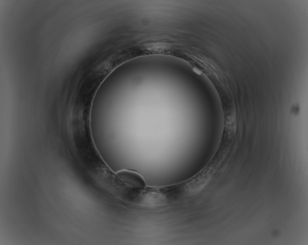 X0000096660572200802051222
