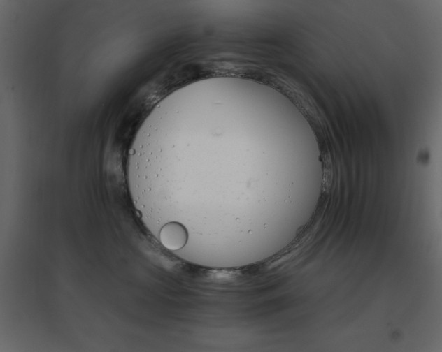 X0000096660573200802051222