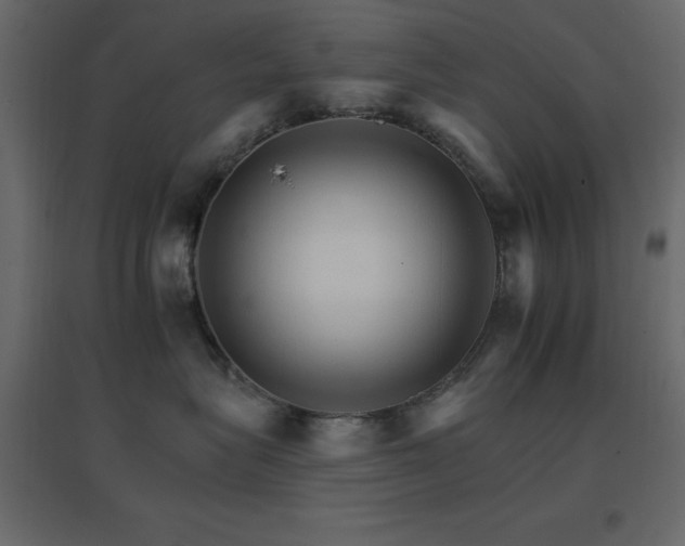 X0000096660575200802051222