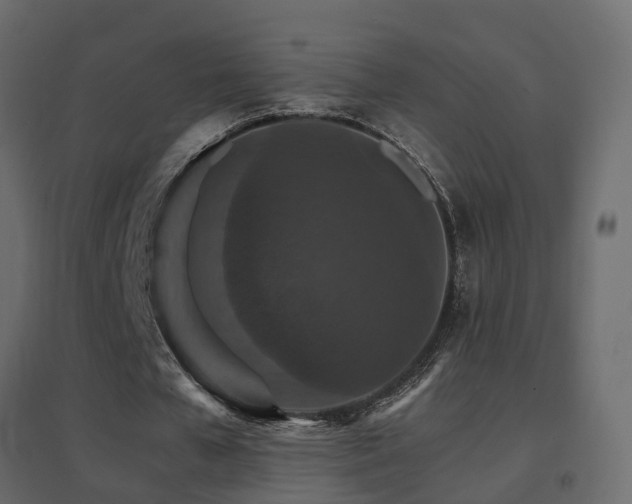 X0000096660577200802051221