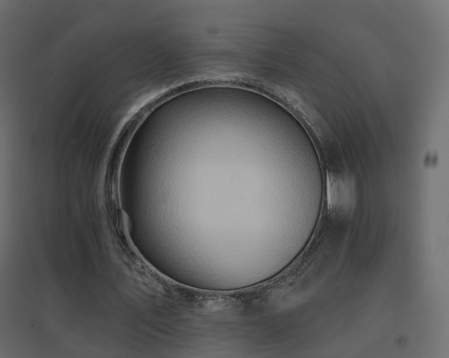 X0000096660579200802051221
