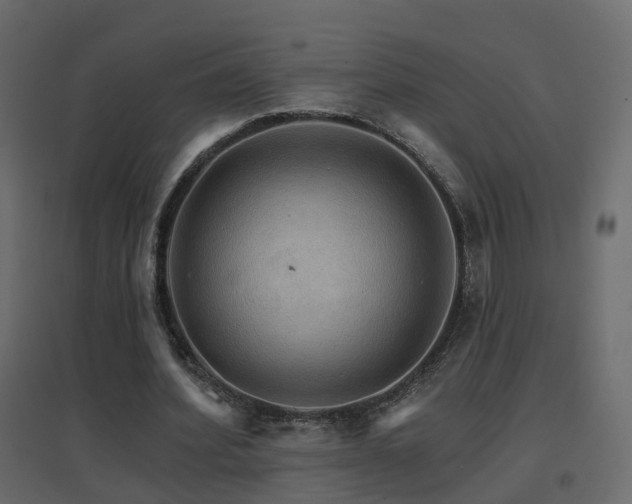 X0000096660580200802051221