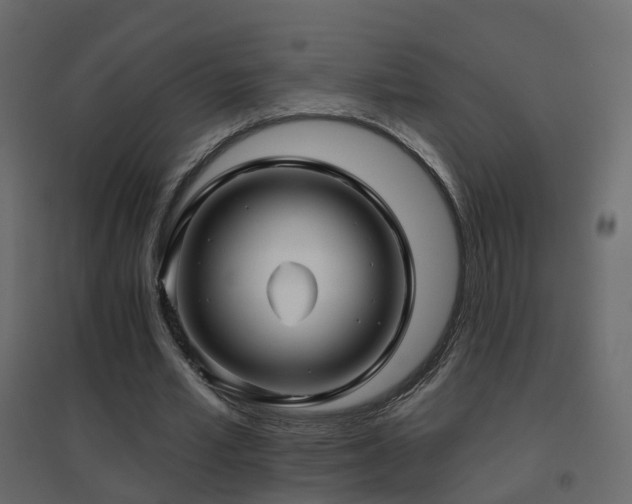 X0000096660581200802051221