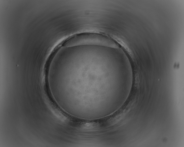 X0000096660584200802051221