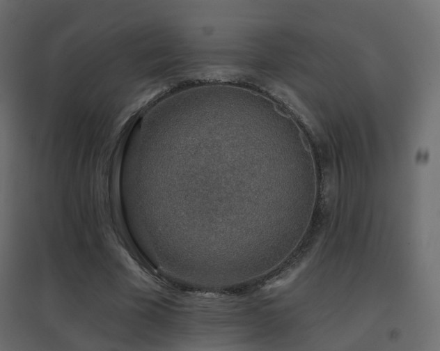 X0000096660585200802051221