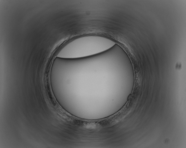 X0000096660587200802051221