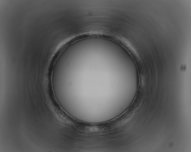 X0000096660588200802051221