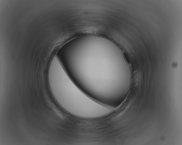X0000096660589200802051221