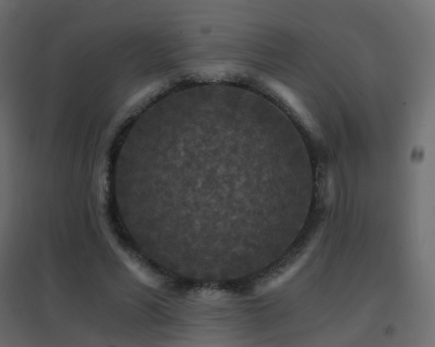 X0000096660590200802051221