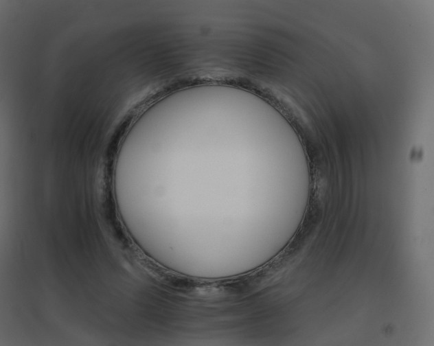 X0000096660591200802051221