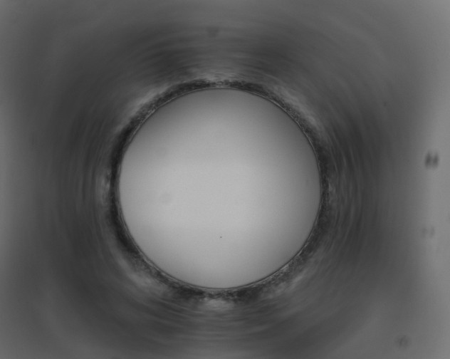 X0000096660592200802051221