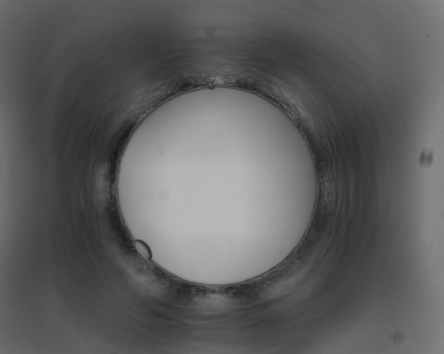 X0000096660594200802051221