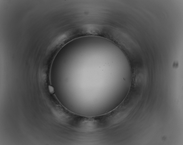 X0000096660595200802051221