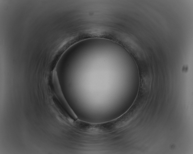X0000096660596200802051221
