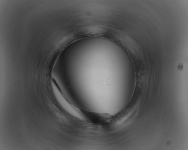 X0000096660597200802051221
