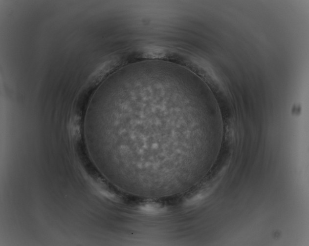 X0000096660598200802051221