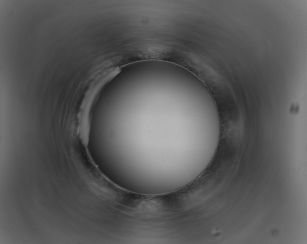 X0000096660599200802051221