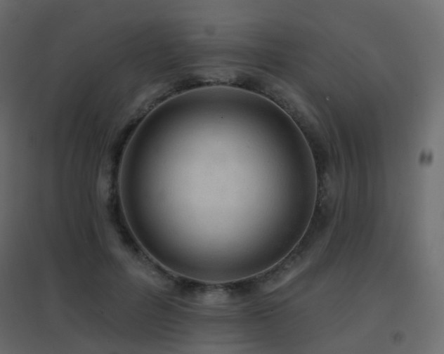 X0000096660600200802051221