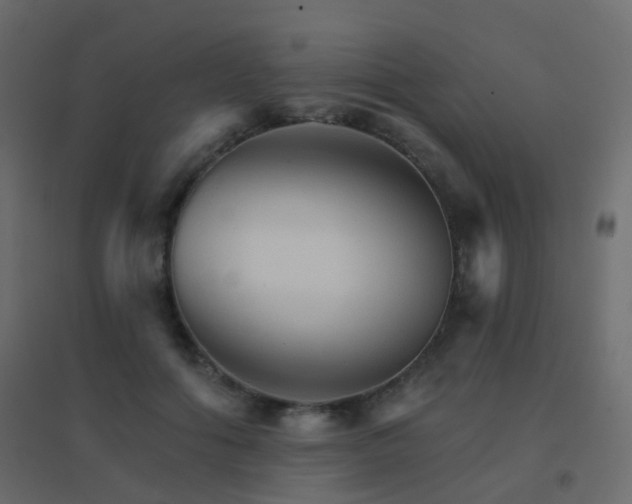 X0000096660602200802051221