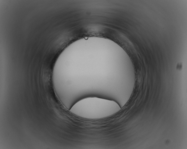 X0000096660603200802051221
