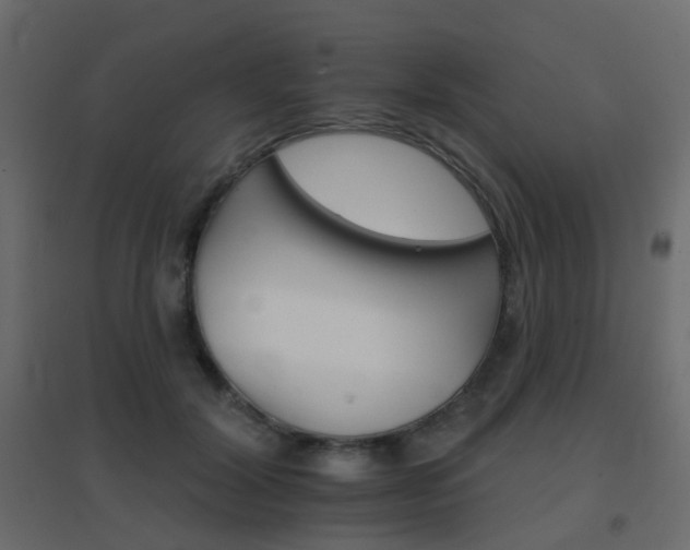 X0000096660604200802051221