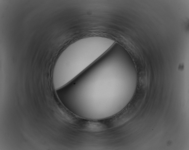 X0000096660605200802051221