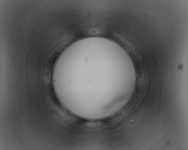 X0000096660606200802051221