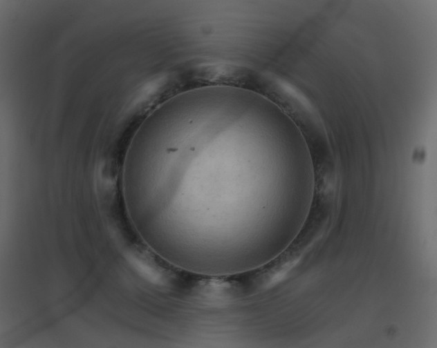 X0000096660607200802051221