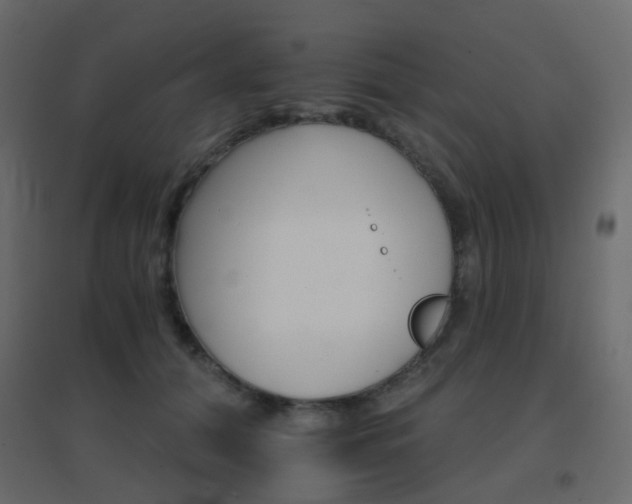 X0000096660608200802051221
