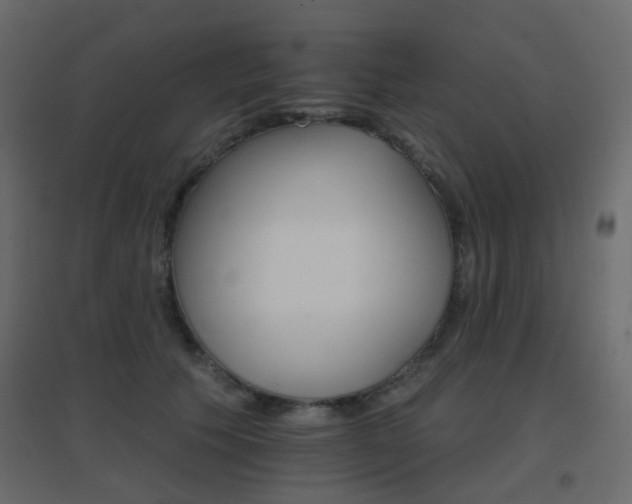 X0000096660609200802051221