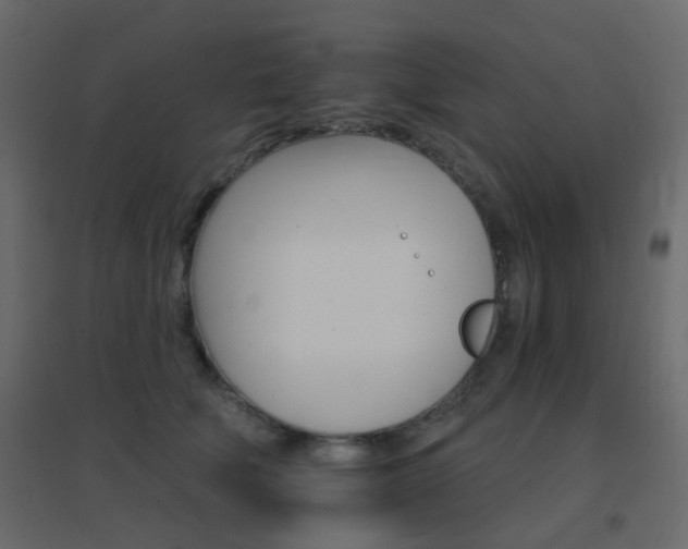 X0000096660610200802051220