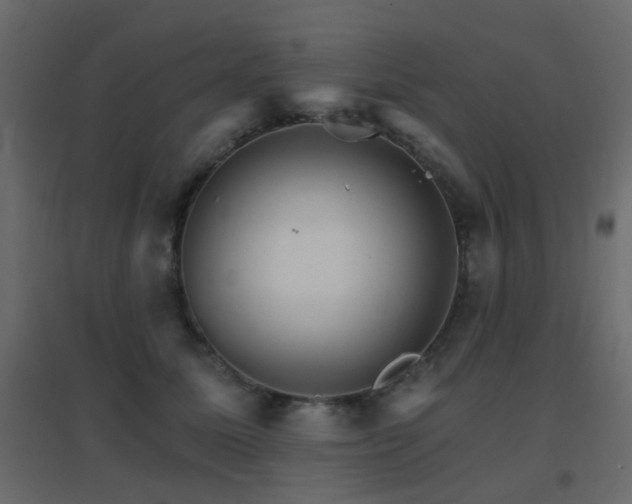 X0000096660611200802051220