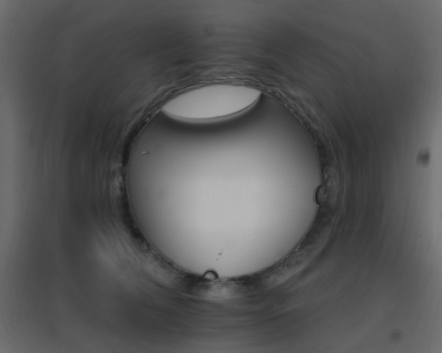 X0000096660612200802051220
