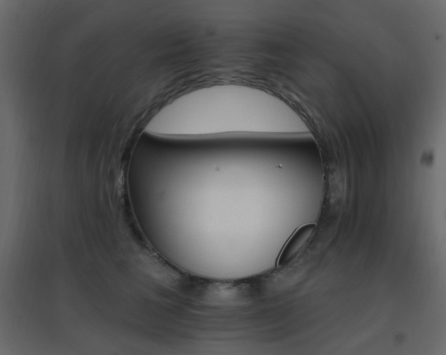 X0000096660613200802051220