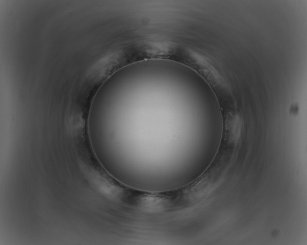X0000096660614200802051220