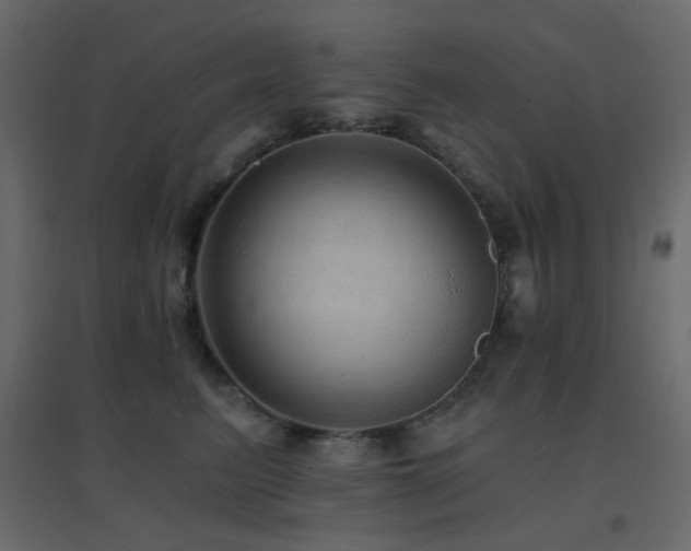 X0000096660615200802051220