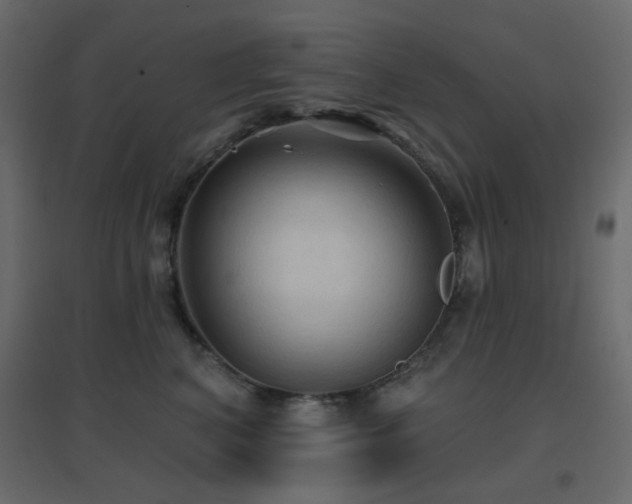 X0000096660616200802051220