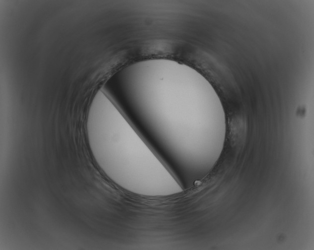 X0000096660617200802051220