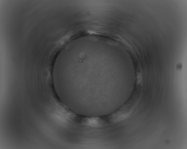 X0000096660618200802051220