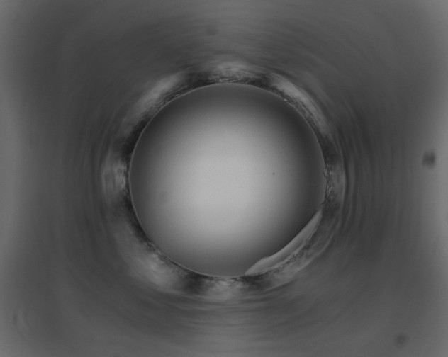X0000096660621200802051220