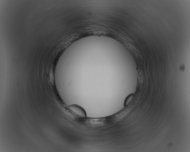 X0000096660622200802051220