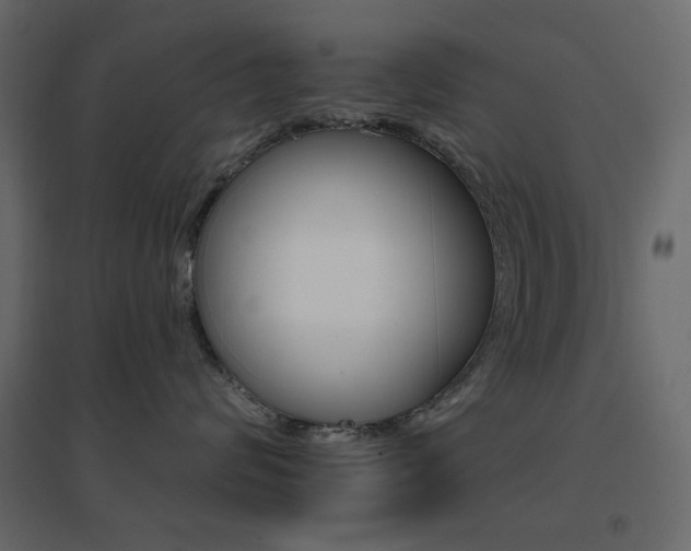X0000096660624200802051220