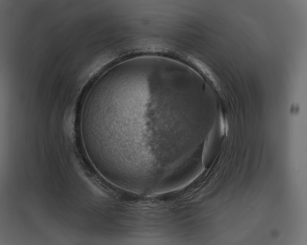 X0000096660627200802051220