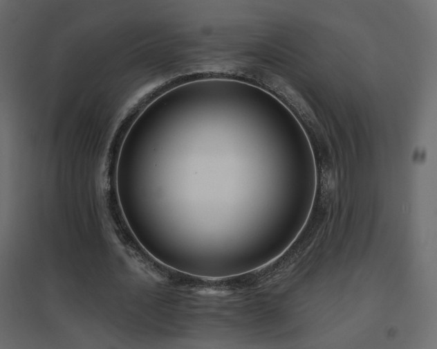 X0000096660628200802051220