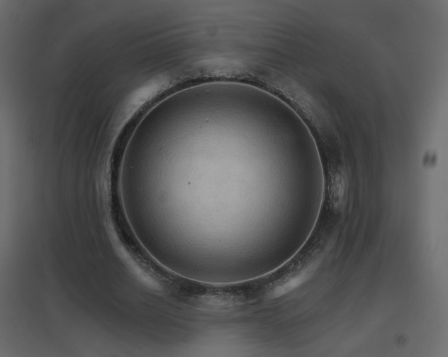 X0000096660630200802051220