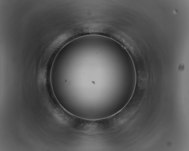 X0000096660631200802051220