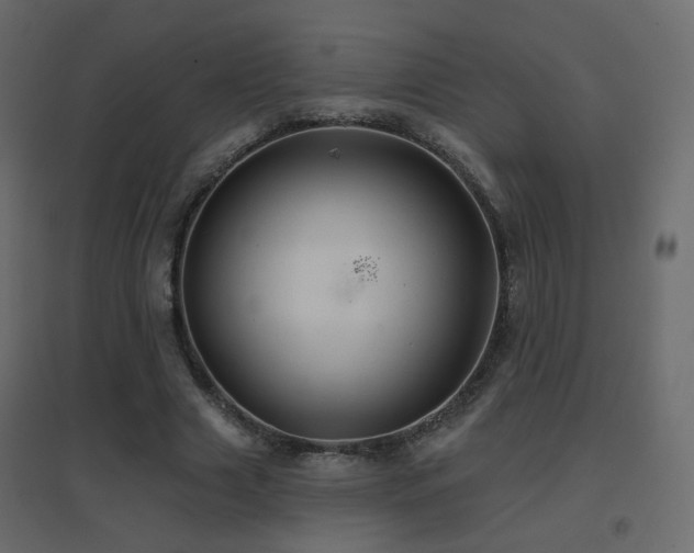 X0000096660633200802051220