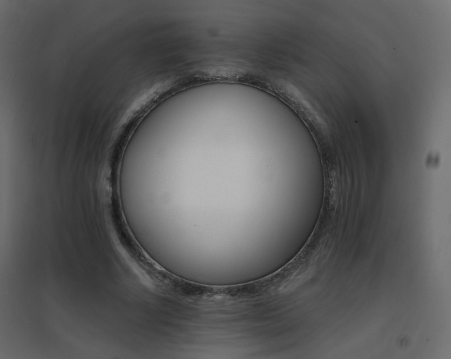 X0000096660634200802051220