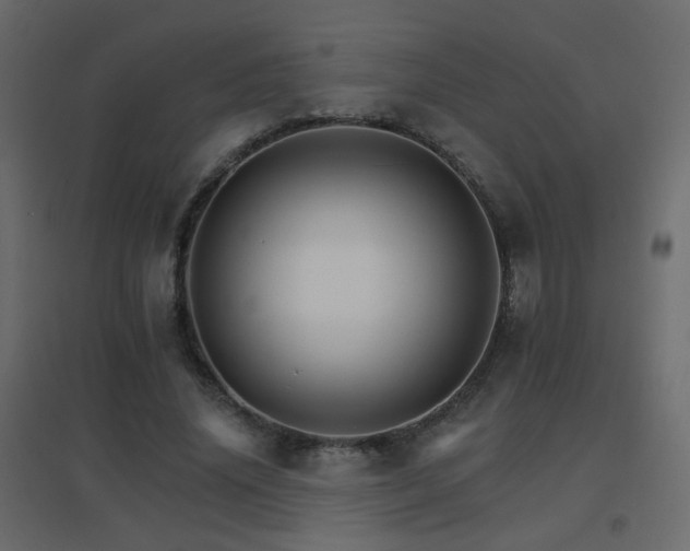 X0000096660636200802051220