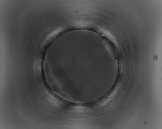 X0000096660637200802051220